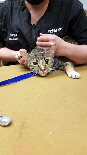 Pet Supply Store «PetSmart», reviews and photos, 4500 Mitchellville Rd, Bowie, MD 20716, USA