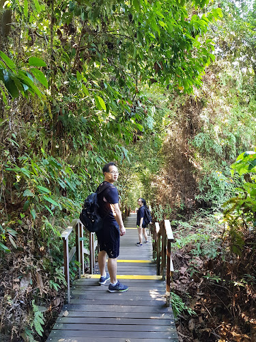 TreeTop Walk - Other