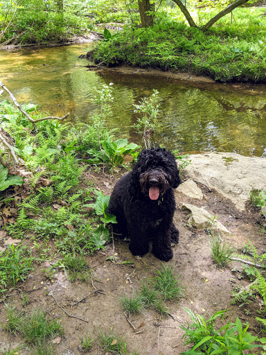 Pet Supply Store «The Village Pet Shoppe, LLC», reviews and photos, 1150 Carlisle St, Hanover, PA 17331, USA