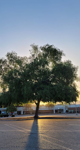 Shopping Mall «Carousel Mall», reviews and photos, 295 Carousel Mall, San Bernardino, CA 92401, USA