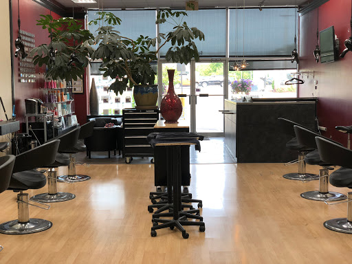 Hair Salon «Michael the Salon», reviews and photos, 8520 Transit Rd, Williamsville, NY 14221, USA