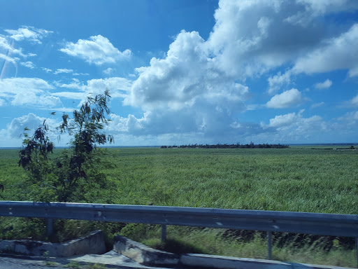 Transporte coche Punta Cana