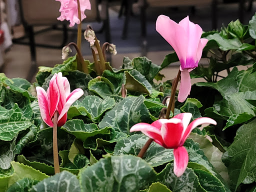 Home Improvement Store «The Home Depot», reviews and photos, 11360 Rojas Dr, El Paso, TX 79936, USA