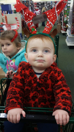 Dollar Store «Dollar Tree», reviews and photos, 1604 N Locust Ave c, Lawrenceburg, TN 38464, USA