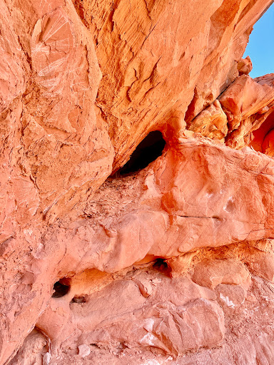 Tourist Information Center «Adrenaline ATV Tours», reviews and photos, 4780 W Ann Rd, North Las Vegas, NV 89031, USA