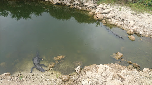 Visitor Center «Big Cypress Swamp Welcome Center», reviews and photos