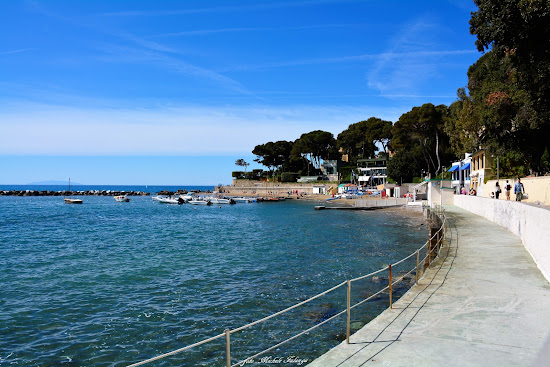 Castiglioncello Beach