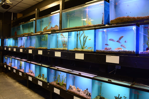 Tropical Fish Store «AquaTerra», reviews and photos, 8492 Gravenstein Hwy, Cotati, CA 94931, USA