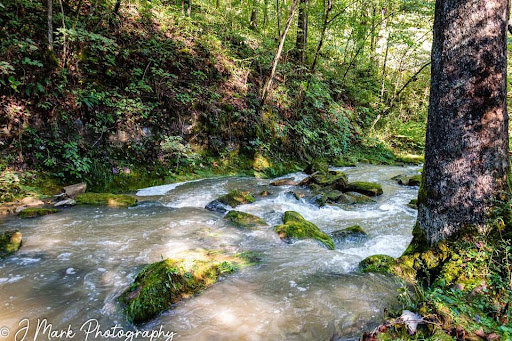 Park «Cave River Valley Park», reviews and photos, 6031-6871 N Cave River Valley Rd, Campbellsburg, IN 47108, USA