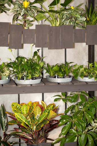 Florist «Brent Douglas - Flowers for everyday...», reviews and photos, 610 S Barstow St, Eau Claire, WI 54701, USA