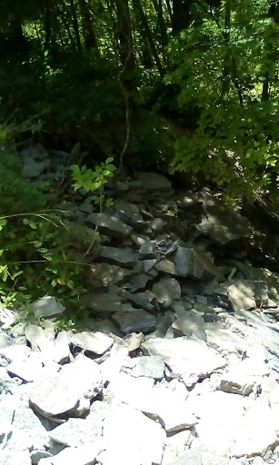 Tourist Attraction «Caesar Creek Visitor Center», reviews and photos, 4020 N Clarksville Rd, Waynesville, OH 45068, USA