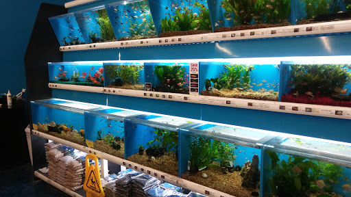 Pet Supply Store «Pet Supermarket», reviews and photos, 2649 E Gulf to Lake Hwy, Inverness, FL 34452, USA