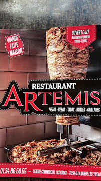 Photos du propriétaire du Restauration rapide Restaurant Artemis Kebab&Pizza&Tacos&Grillade&Burger à La Queue-lez-Yvelines - n°3