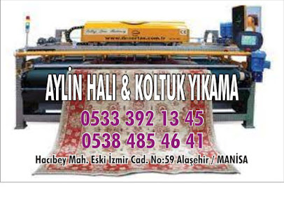 Alaşehir Aylin Halı ve Koltuk Yıkama