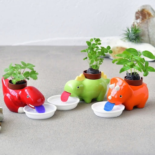 Gift Shop «Madison Modern Market», reviews and photos, 310 State St, Madison, WI 53703, USA