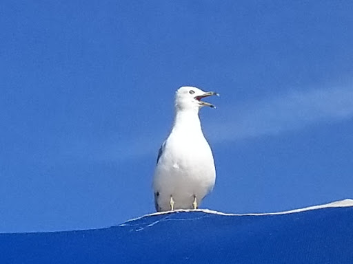 Water Park «Deep River Waterpark», reviews and photos, 9001 E Lincoln Hwy, Crown Point, IN 46307, USA