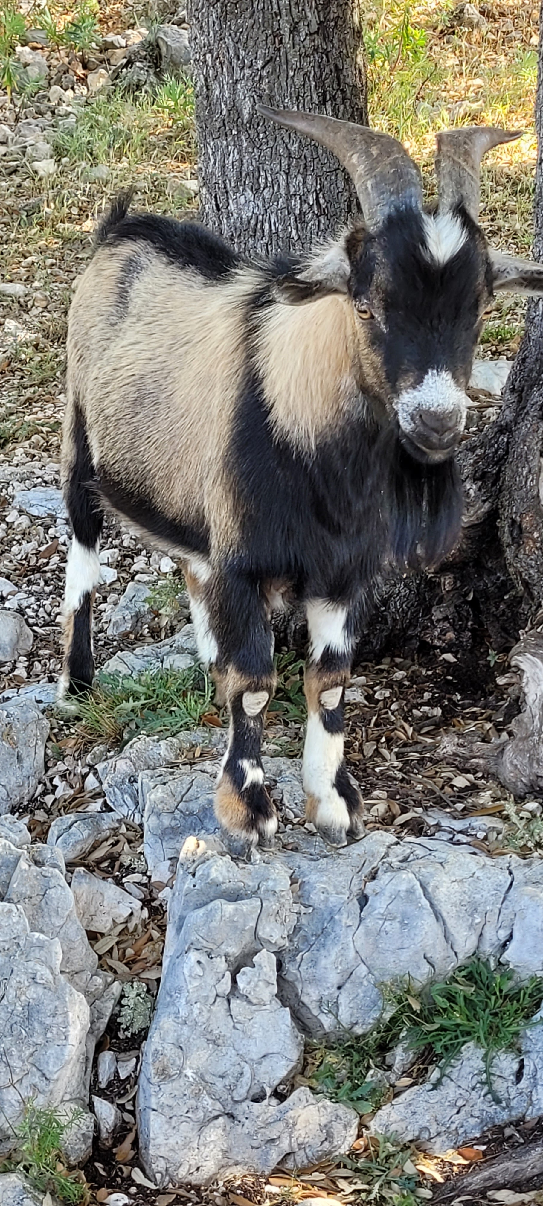Photo n° 17 de l'avis de fran.e fait le 21/05/2022 à 21:17