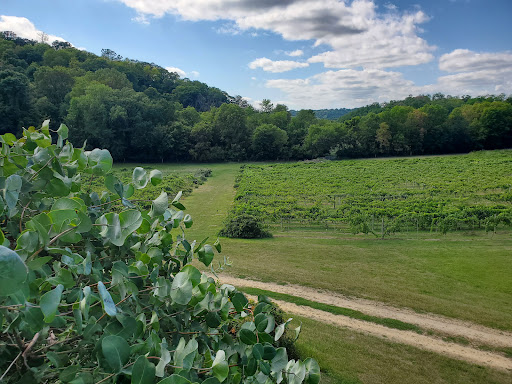 Winery «Falconer Vineyards», reviews and photos, 3572 Old Tyler Rd, Red Wing, MN 55066, USA