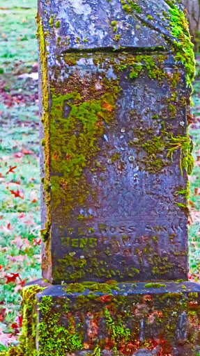 Auto Repair Shop «Meineke Car Care Center», reviews and photos, 3635 SE 82nd Ave, Portland, OR 97266, USA