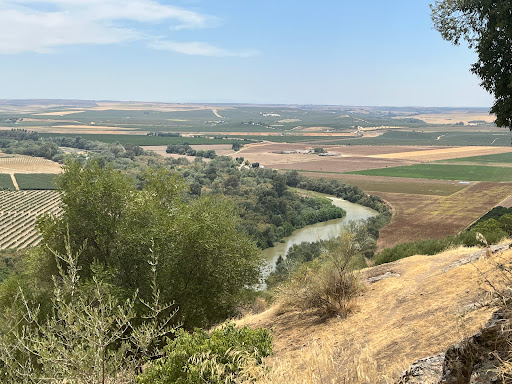 Castillo de Almodóvar del Río