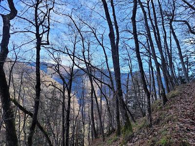 Les Myrtilles à Moustajon près de Luchon à Moustajon