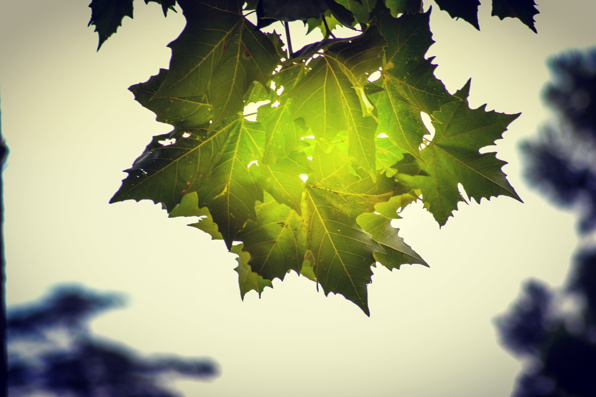 Photo n° 1 de l'avis de Abdalrahman.l fait le 28/11/2019 à 09:39