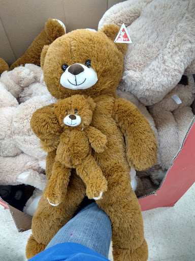 Discount Store «Big Lots», reviews and photos, 21 S Main St, Jamestown, NY 14701, USA