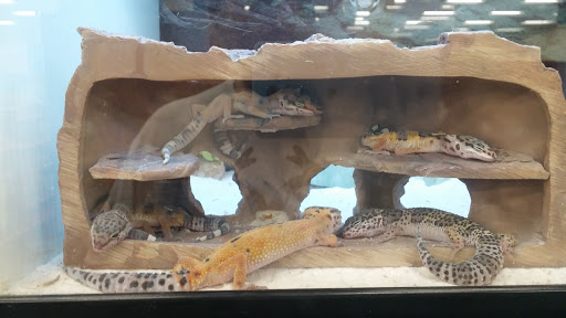 Pet Supply Store «Petco Animal Supplies», reviews and photos, 1250 William D Tate Ave #200, Grapevine, TX 76051, USA