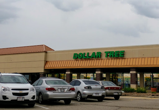 Dollar Store «Dollar Tree», reviews and photos, 124 E Geneva Square, Lake Geneva, WI 53147, USA