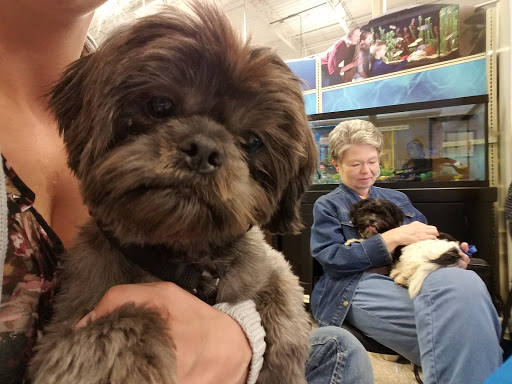 Pet Supply Store «PetSmart», reviews and photos, 1157 E North Ave, Belton, MO 64012, USA