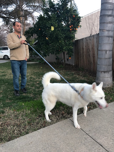 Pet Supply Store «Land Bark Pet Supplies», reviews and photos, 3200 Riverside Blvd, Sacramento, CA 95818, USA