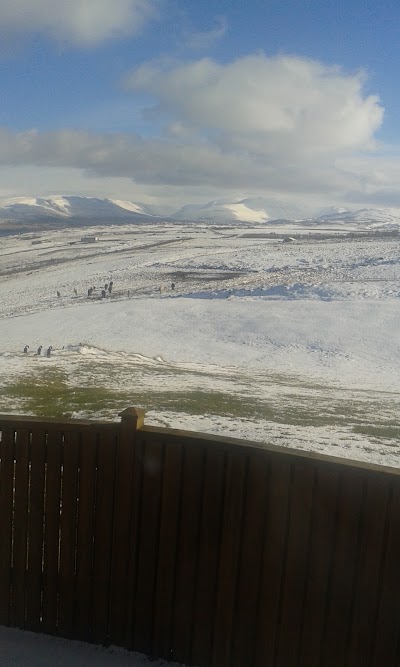 Photos of V&iacute;kingaland