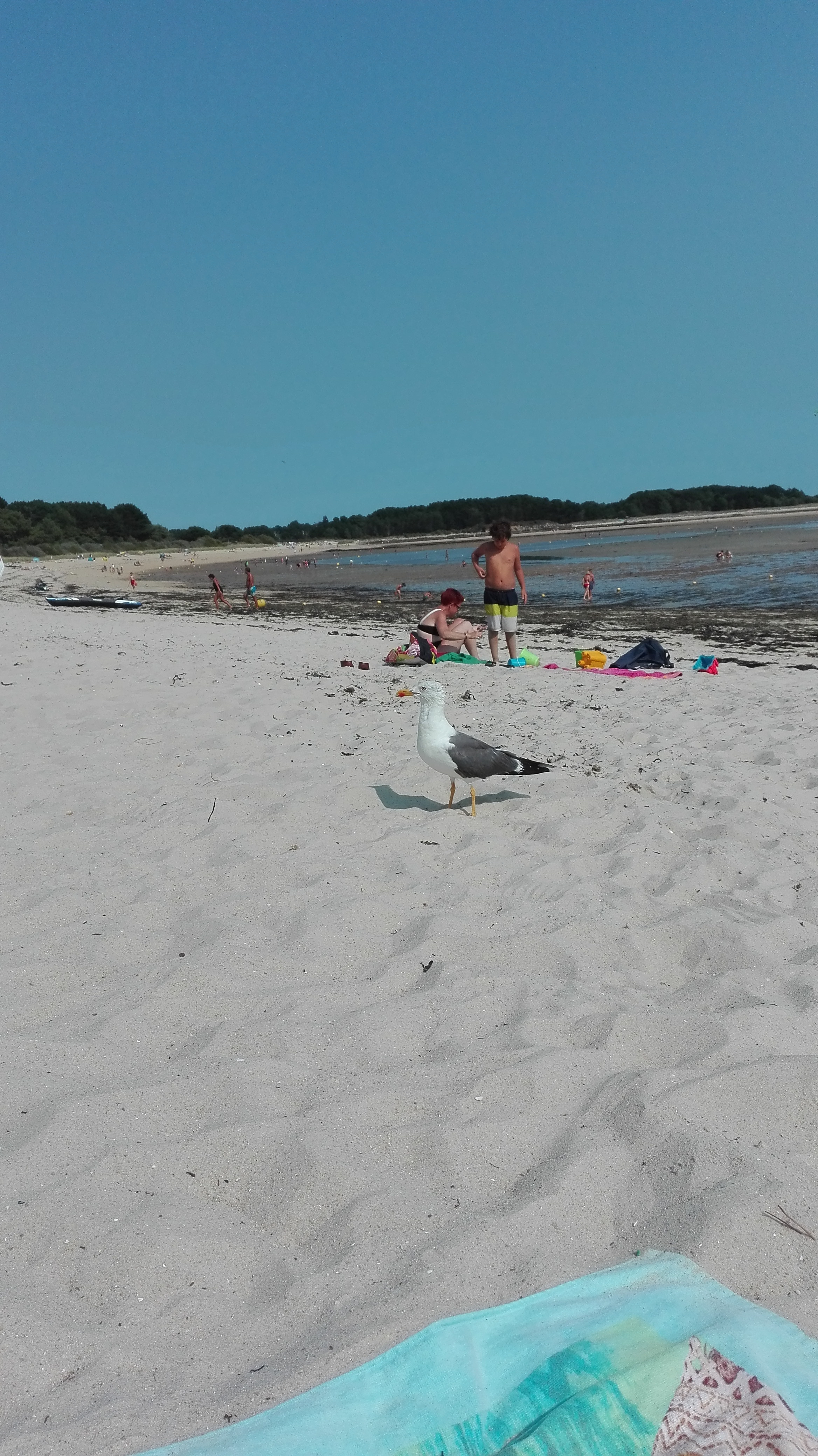 Photo n° 1 de l'avis de thierry.a fait le 23/08/2018 à 12:51