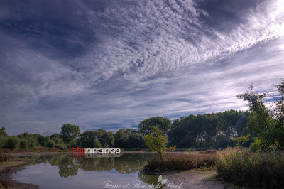 Marais de Bonnance à Templeuve-en-Pévèle