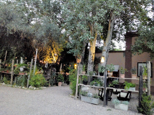 Garden en Mendoza