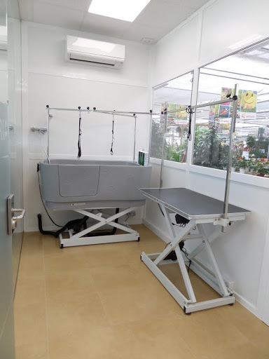 Clínica Veterinaria Nexo Cubelles en Barcelona