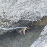 Photo n°2 de l'avis de Csajbòk.� fait le 09/07/2023 à 11:46 sur le  Mediterraneo Beach Fiumicino à Fiumicino