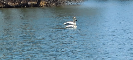 Park «Silverwood Park», reviews and photos, 2500 County Rd E, St Anthony, MN 55421, USA