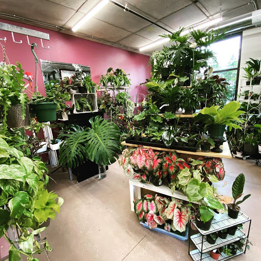 Dirt By Design - Plant Shop