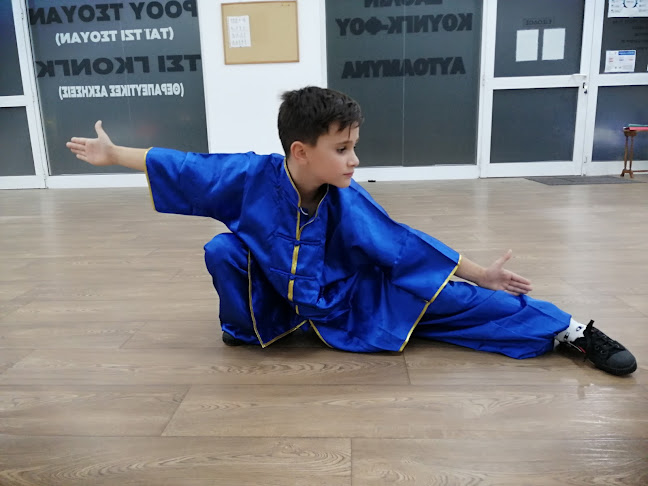 Σχόλια και κριτικές για το Κέντρο Σαολίν Κουνγκ-Φου Πύργου ΦΟΙΝΙΚΑΣ(Center Shaolin Kung-Fu Pyrgos Phoenix)