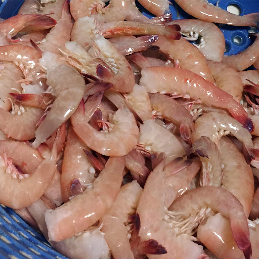 Seafood Market «Key West Shrimp Company», reviews and photos, 7217 Gulf Blvd, St Pete Beach, FL 33706, USA