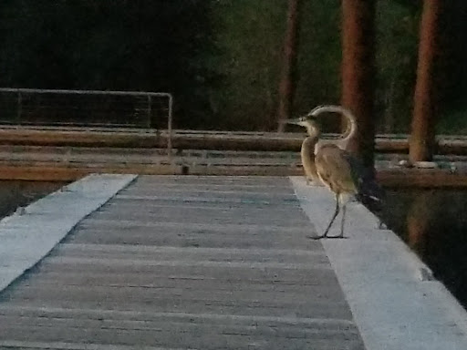 Canoe & Kayak Rental Service «Scappoose Bay Paddling Center», reviews and photos, 57420 Old Portland Rd, Warren, OR 97053, USA