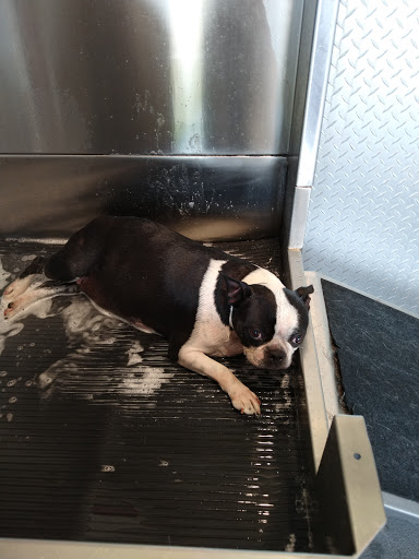 Car Wash «Class Act Auto Wash LLC», reviews and photos, 1275 E Main St, Meriden, CT 06450, USA