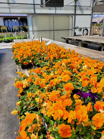 Frank Otte Nursery and Garden Center - Photo 5 - Car repair in Louisville, KY, Louisville