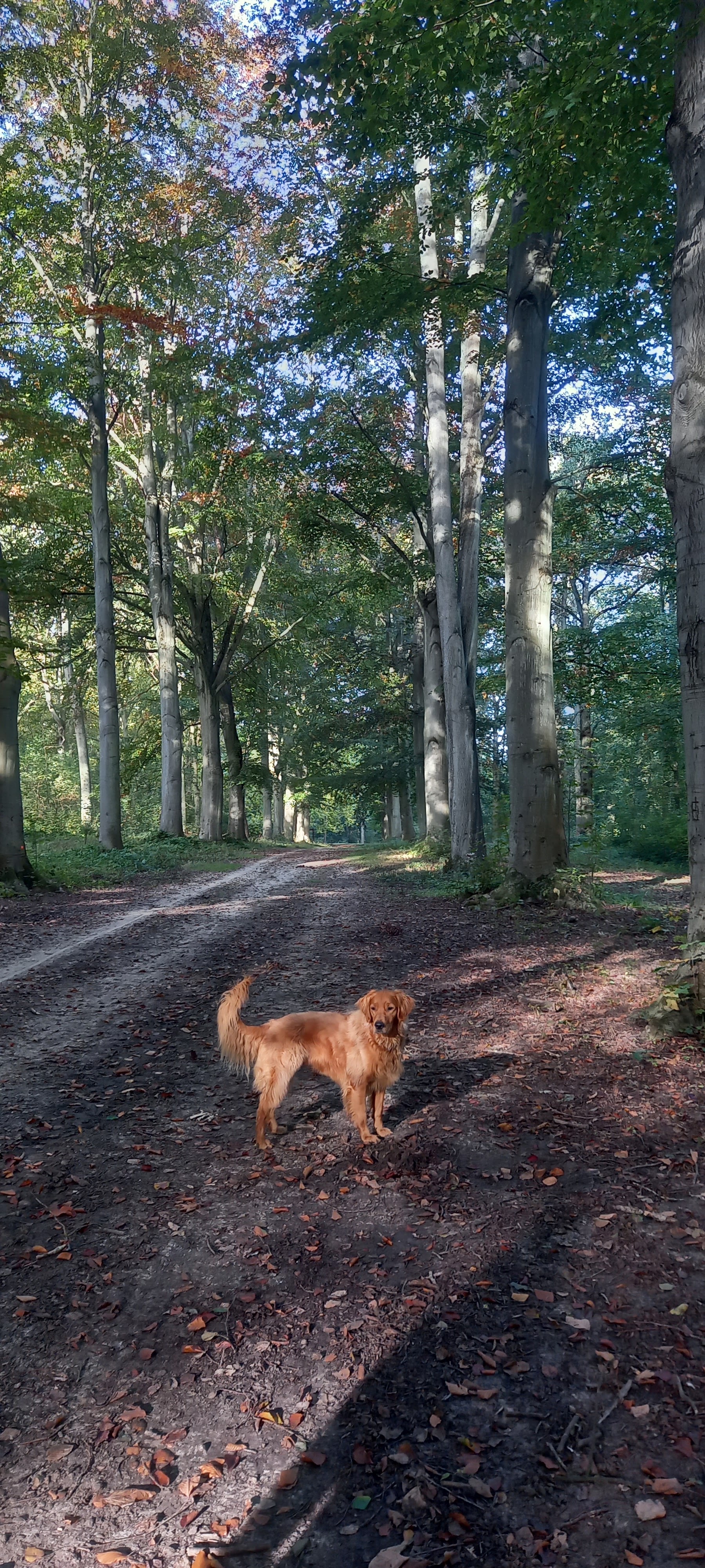 Photo n° 1 de l'avis de Adeline.a fait le 17/10/2021 à 11:57