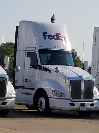 Mailing Service «FedEx Freight», reviews and photos, 3951 New Town Blvd, St Charles, MO 63301, USA