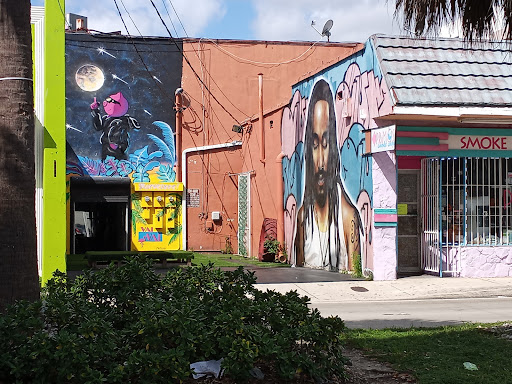 Primos Smoke Shop, 804 SW 22nd Ave, Miami, FL 33135, USA, 