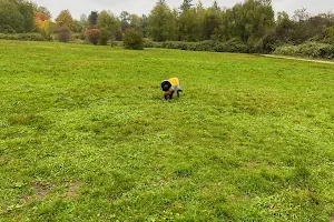 Tynehead Dog Park image