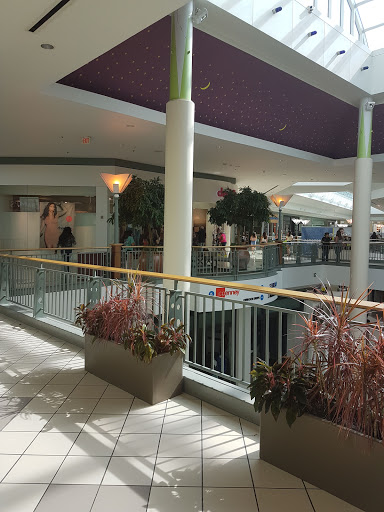 Shopping Mall «Mall of Louisiana», reviews and photos, 6401 Bluebonnet Blvd, Baton Rouge, LA 70836, USA
