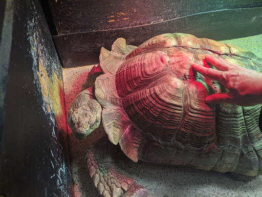 Pet Store «Rockstar Pets», reviews and photos, 215 N Main St, Tooele, UT 84074, USA